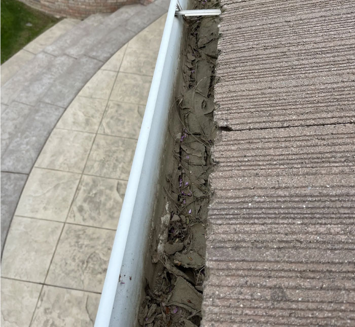 before gutter cleaning