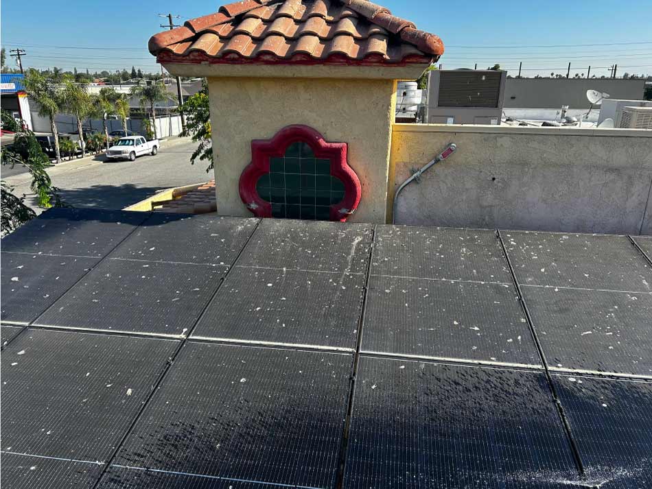 roof cleaning